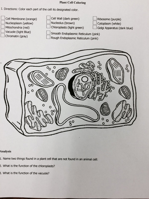 Animal & Plant Cell Coloring - Dr. Rowett's Site